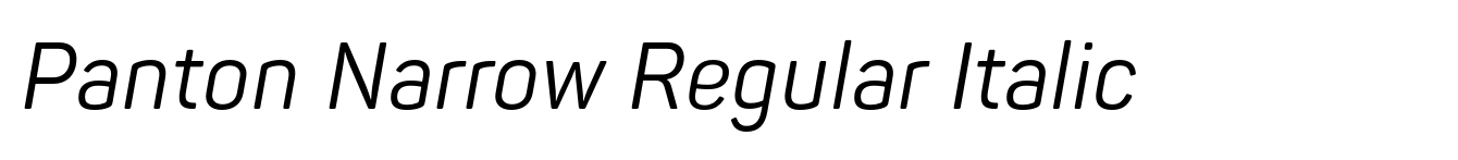 Panton Narrow Regular Italic image